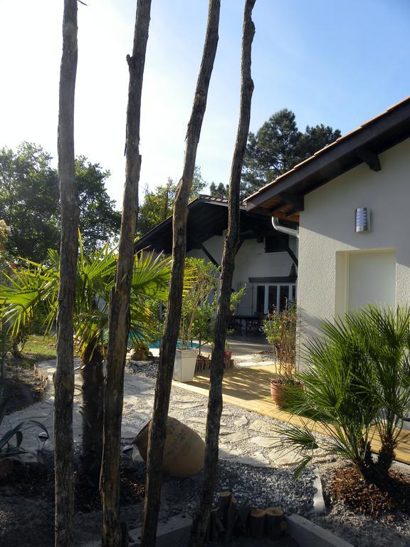 Villa Mogador Piscine Et Balneo Andernos-les-Bains Ngoại thất bức ảnh
